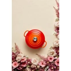 Le Creuset Cocotte Fonte Rond 26 Cm Volcanique -Cuisine À Domicile 213185 3 3 Cocotte fonte rond 26 cm volcanique Le Creuset
