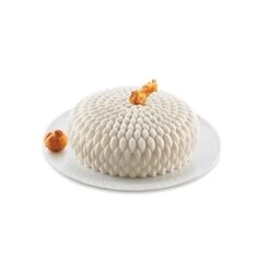 Silikomart Lot Moule En Silicone Honoré Et Moule à Insert Rond