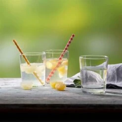 Presse-agrume For Drinks -Cuisine À Domicile 613032 2 1 Presse agrume For Drinks Betty Bossi